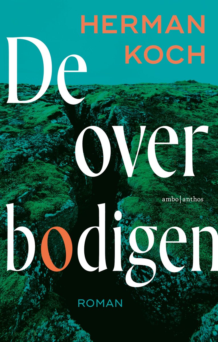 De overbodigen cover